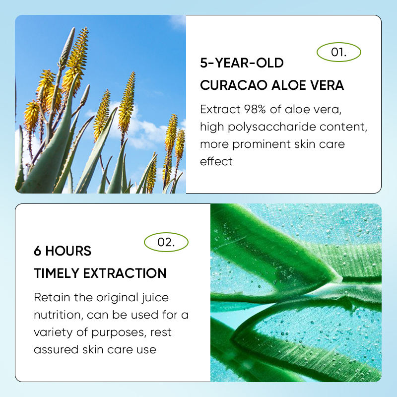 Sadoer Aloe Vera Face Mousse
