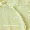 Beauty Of Joseon Matte Sun Stick Mugwort + Camelia